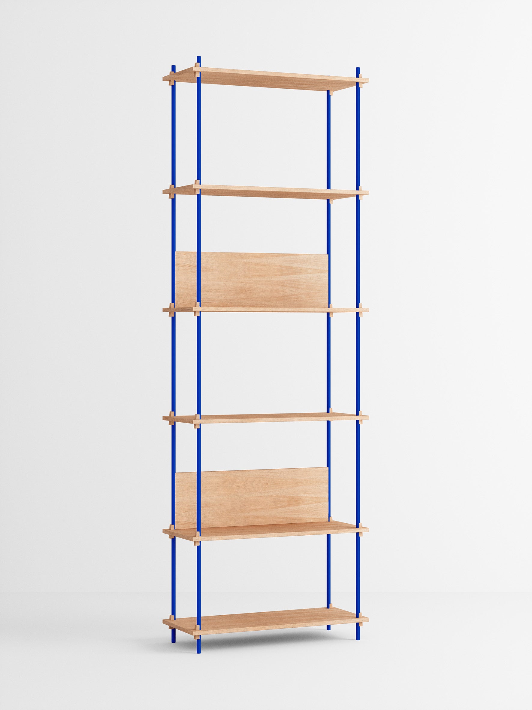 Shelving System – s.255.1.A