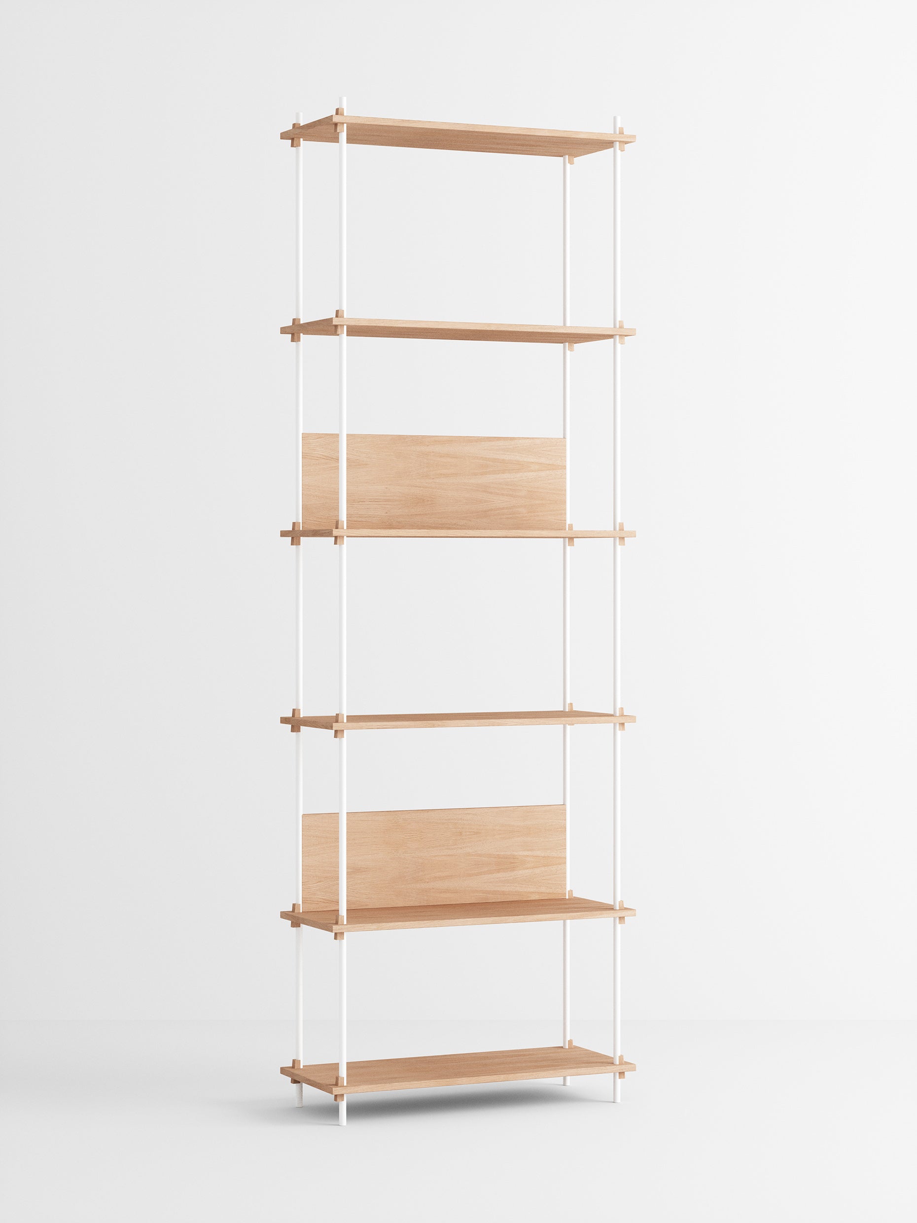 Shelving System – s.255.1.A